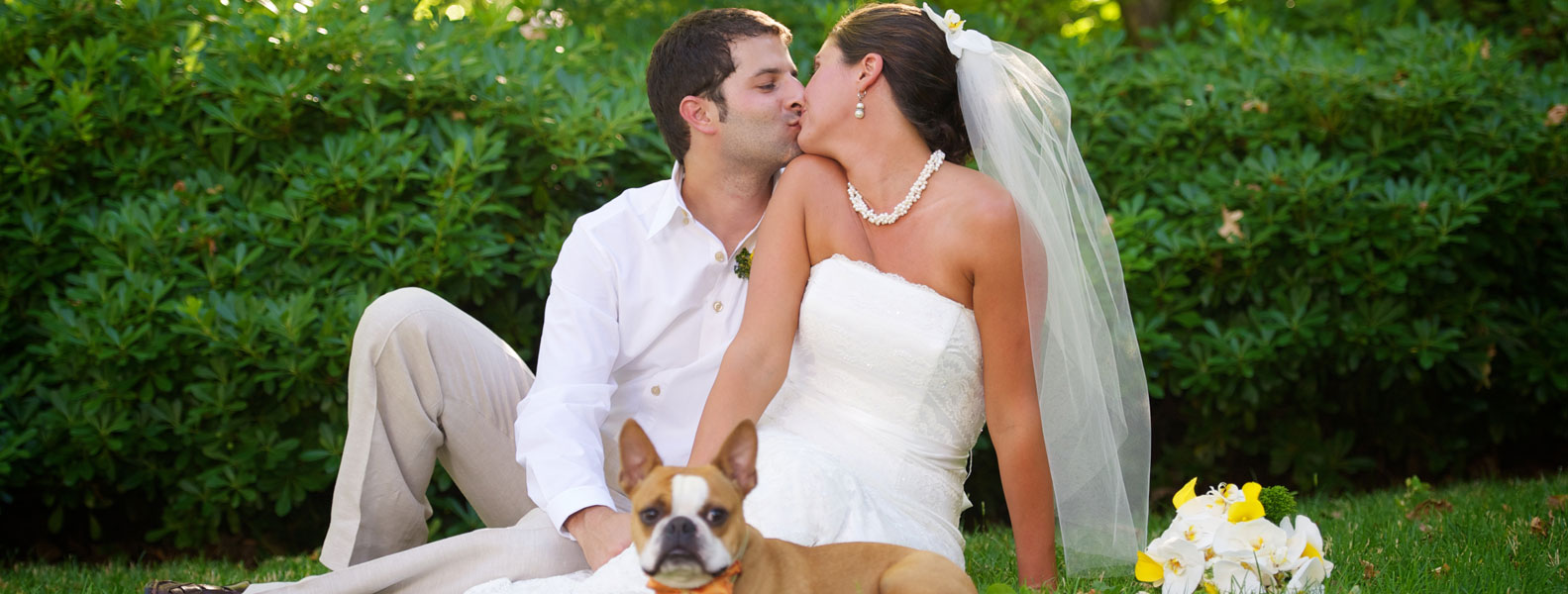 无弹窗骚扰的攻击网站服务器